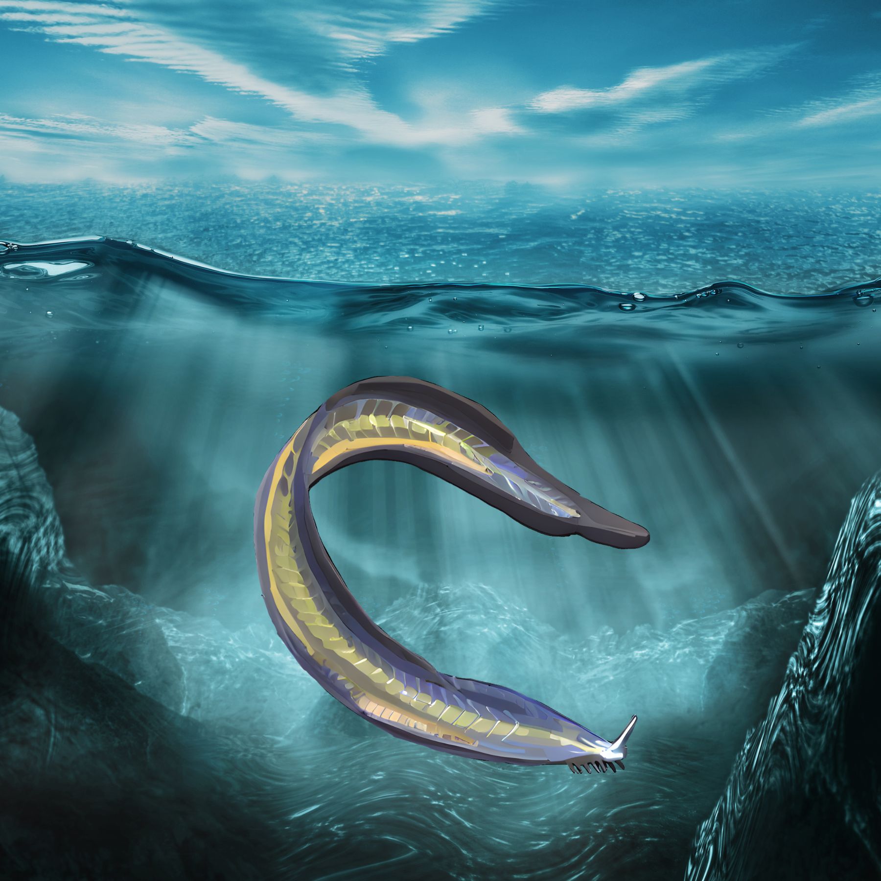 Now Is Pikaia A Fish Solving The Cambrian Chordate Mystery Now Is Pikaia A Fish Solving The Cambrian Chordate Mystery