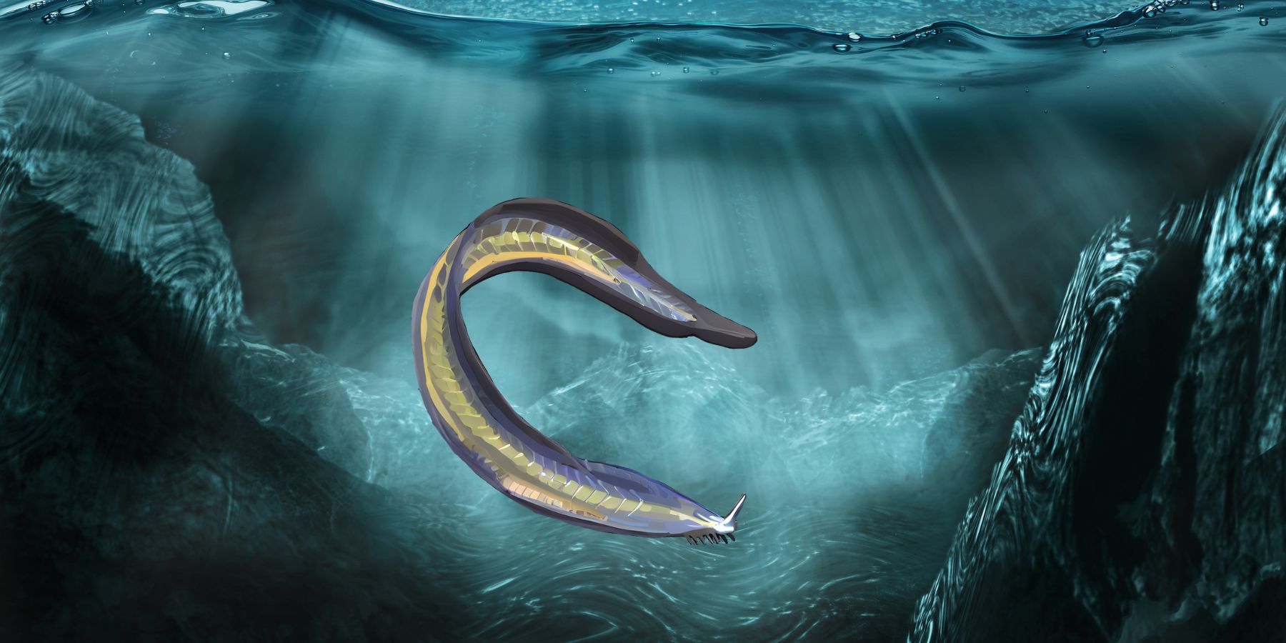 Now 8 Incredible Pikaia Gracilens Facts Your Ancient Relative Now 8 Incredible Pikaia Gracilens Facts Your Ancient Relative